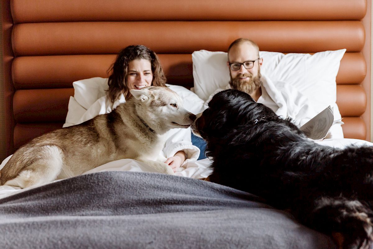 A couple is lying in bed with a brown and white dog and a black dog, all looking content and cozy.