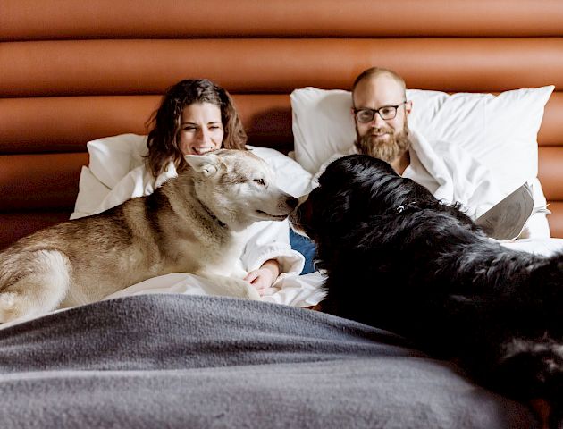 A couple is in bed with a Siberian Husky and a black dog, all appearing relaxed and happy, with the dogs facing each other.