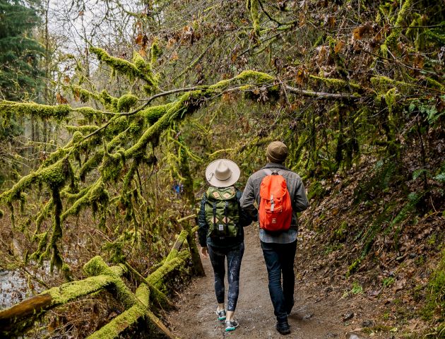 Two people are hiking on a trail through a forest, surrounded by moss-covered trees and vegetation, each carrying a backpack.