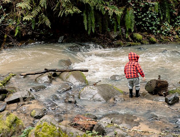 A child in a red plaid jacket stands near a forest stream surrounded by rocks and tall green trees, looking towards the water's flow.