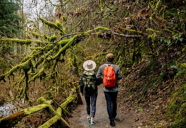 Two people walking on a forest trail, surrounded by lush, moss-covered trees. One wears a wide-brimmed hat and the other an orange backpack.