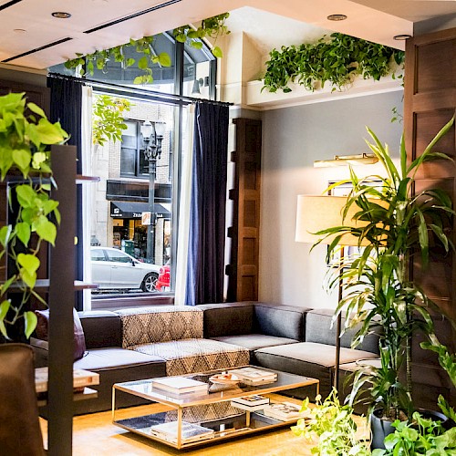 A cozy lounge area with a gray sectional sofa, glass coffee table, and lush green plants, creating a relaxing atmosphere.