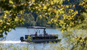 A pontoon boat is on a lake, framed by leafy branches in the foreground.