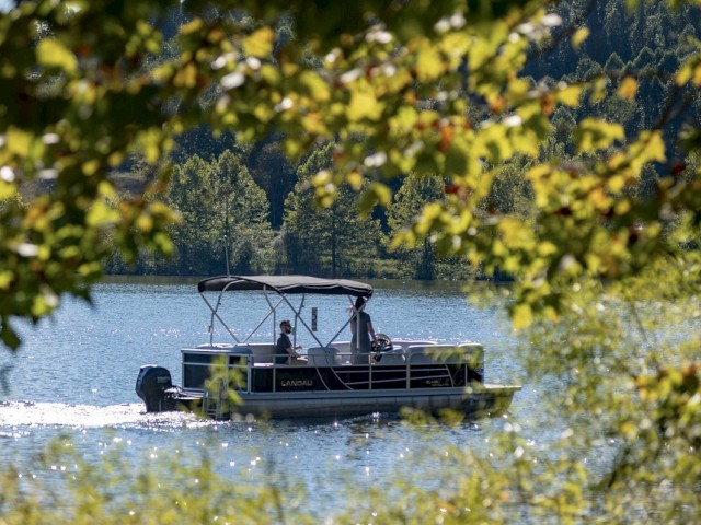 A pontoon boat glides on a lake, framed by leafy branches in the foreground.