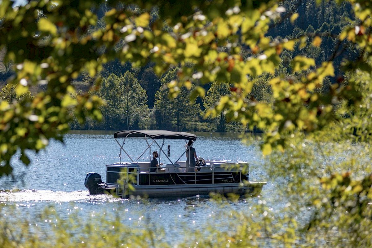 A pontoon boat sails on a serene lake, framed by leafy branches.
